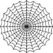 web skills